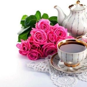 Meet your Posher, Deena